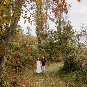 Gallery Photo 6