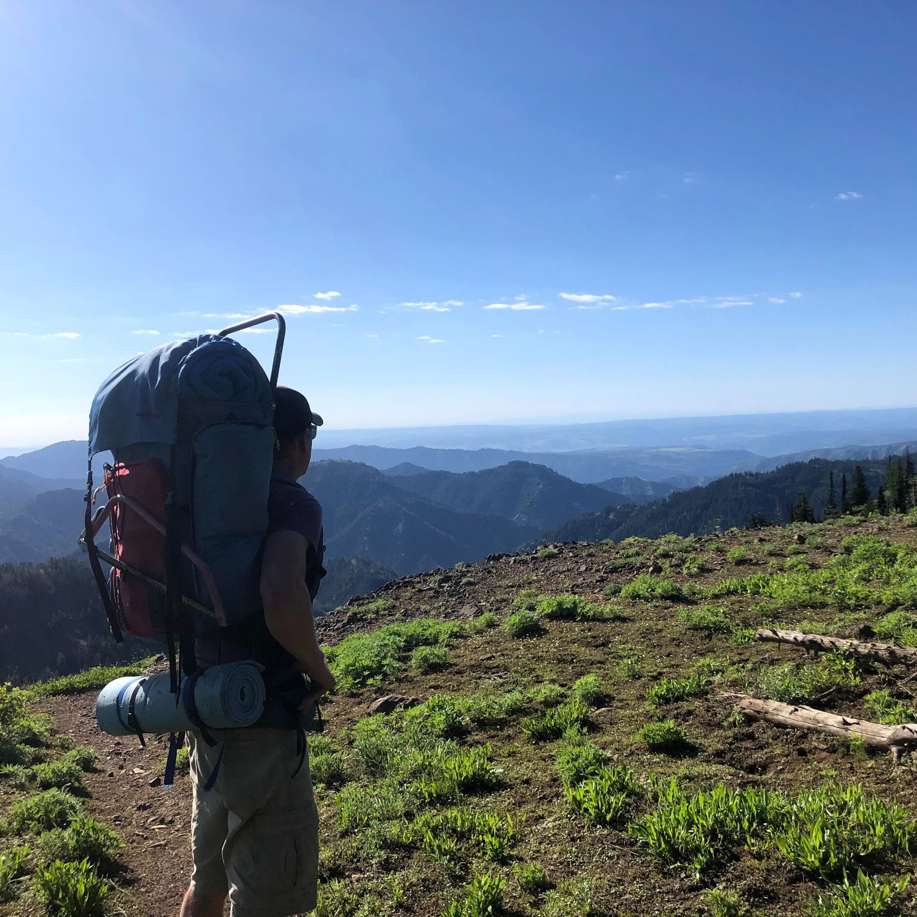 Picture of  Umatilla National Forest