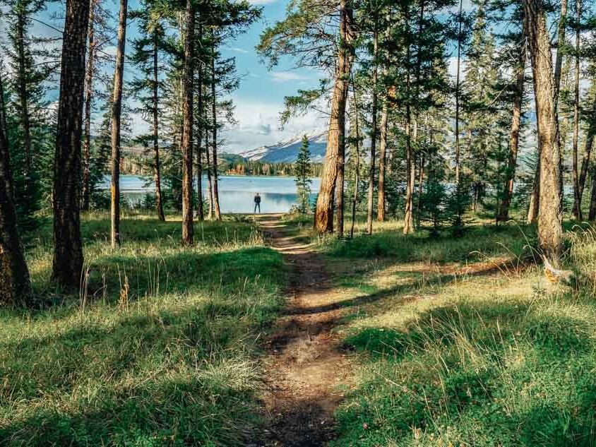Picture of Hiking Trails