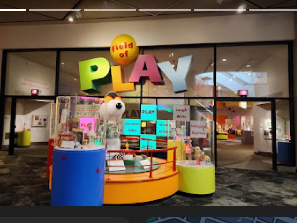 Picture of Strong Museum Of Play