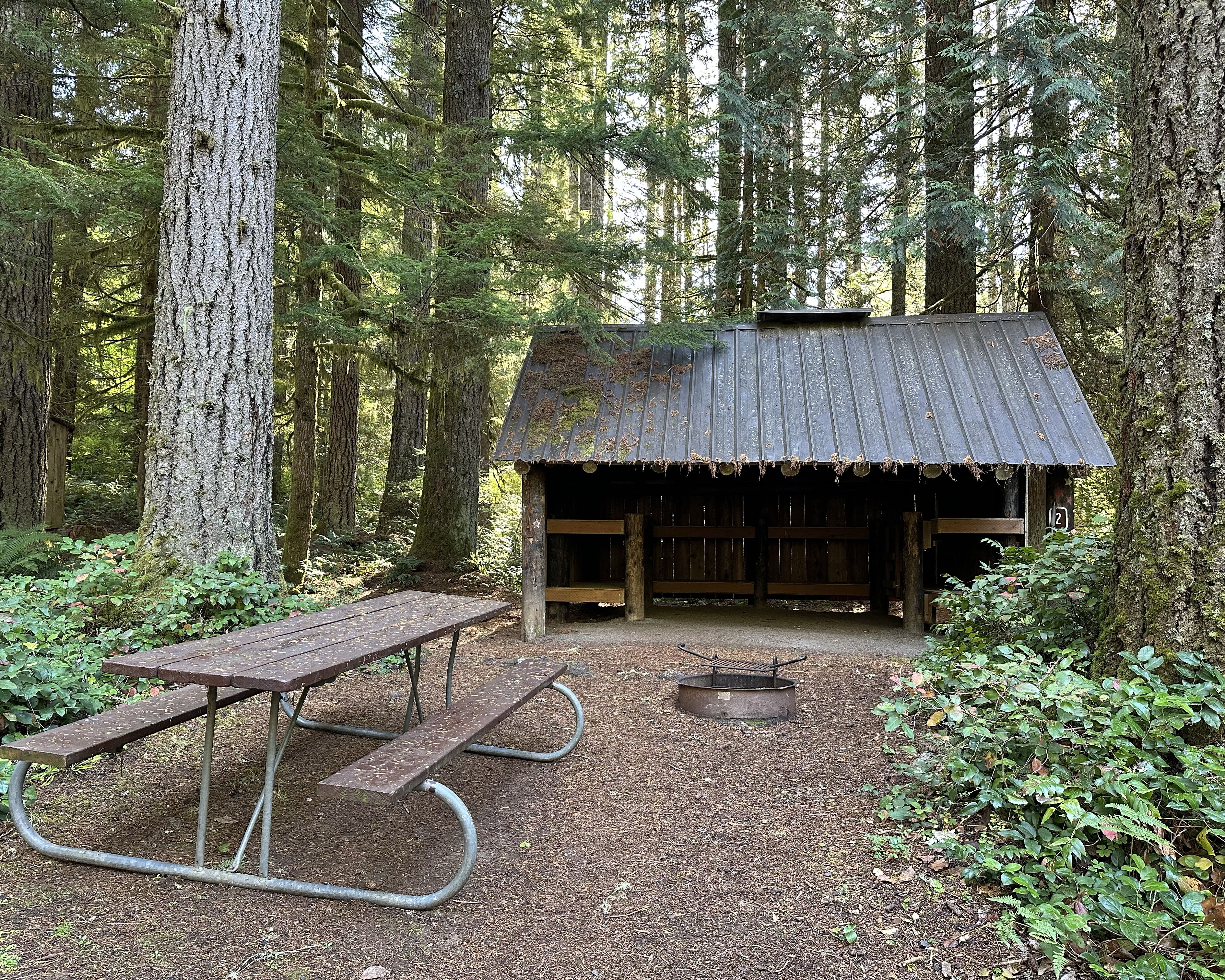 Picture of Adirondack Etiquette/Needs