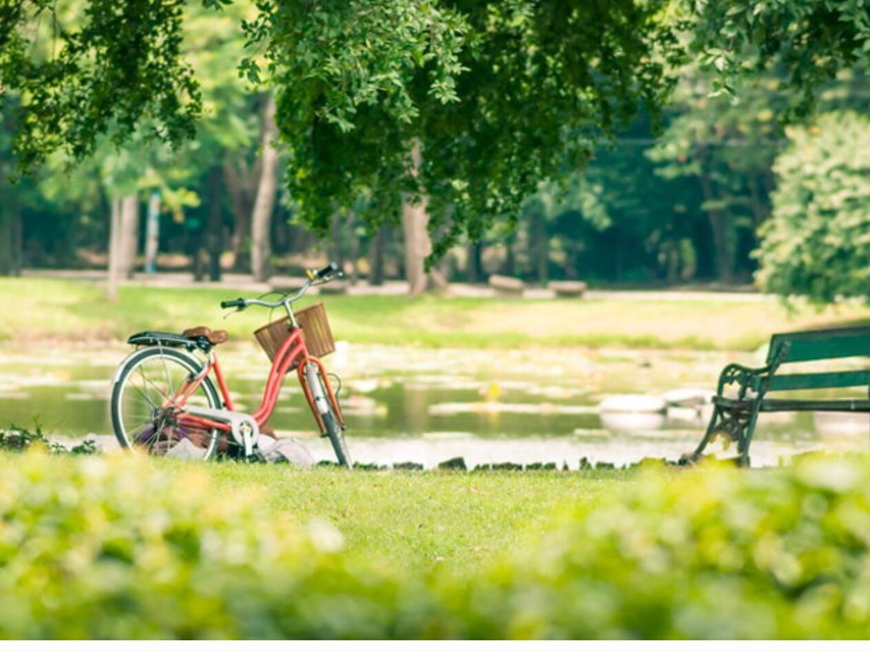 Picture of Province Park