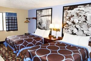 Picture of Super 8 by Wyndham Little Falls