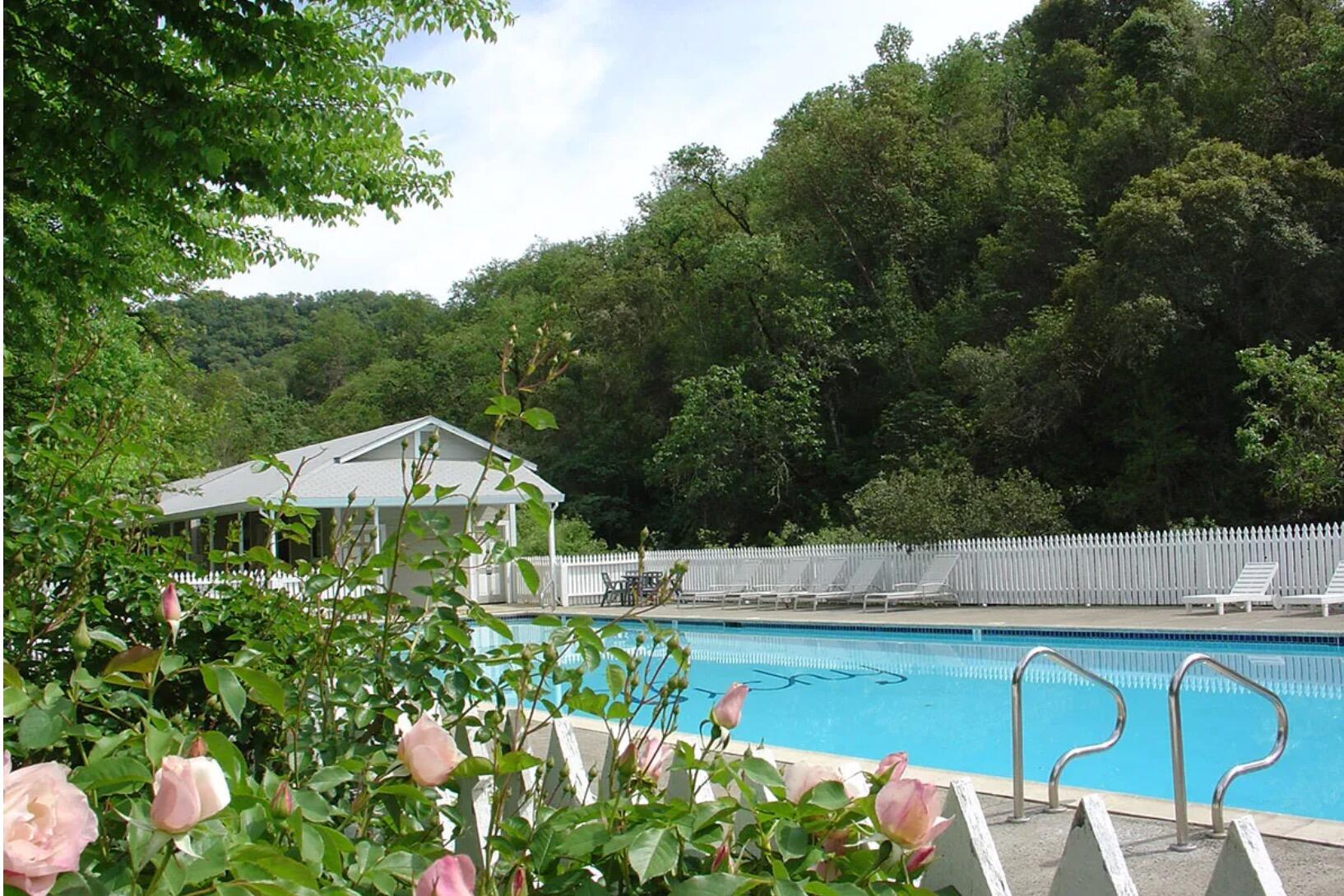 Picture of Vichy Hot Springs