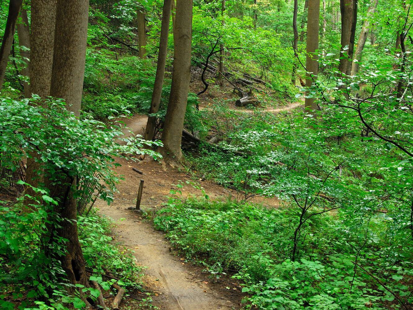 Picture of Hiking - Hartshorne Woods Park, Rocky Point entrance