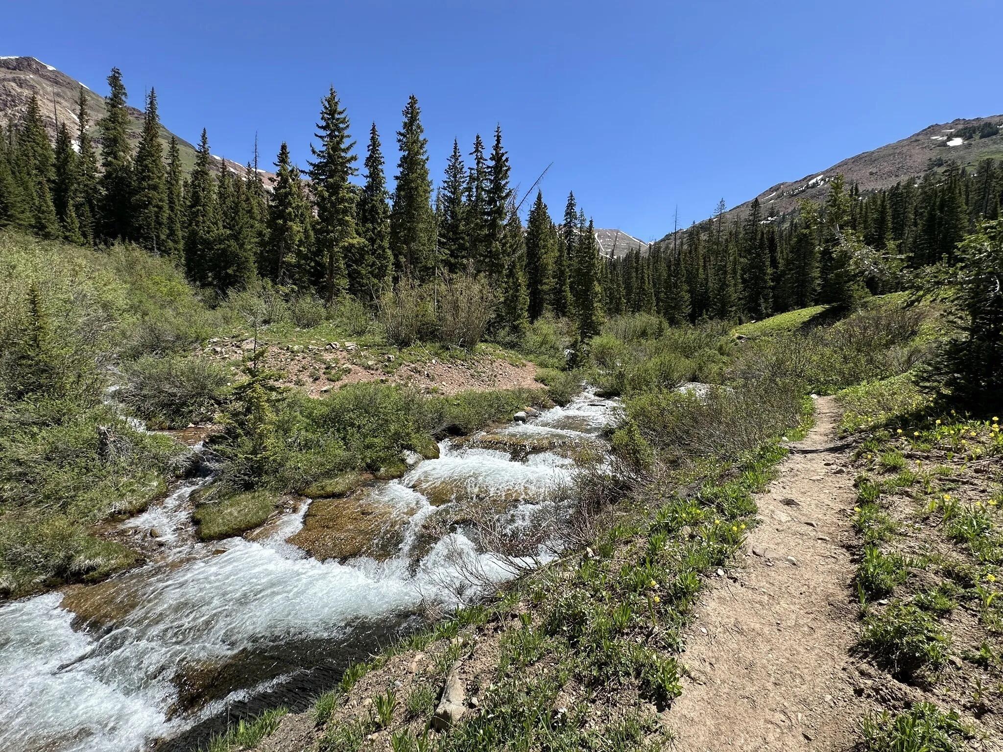Picture of Rustler's Gulch Trail