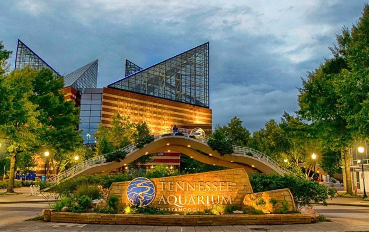 Picture of Tennessee Aquarium