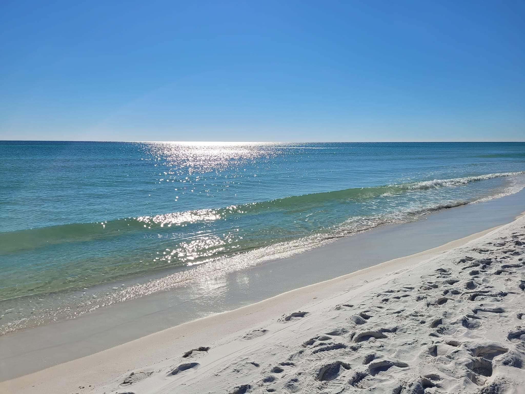 Picture of Henderson Beach State Park