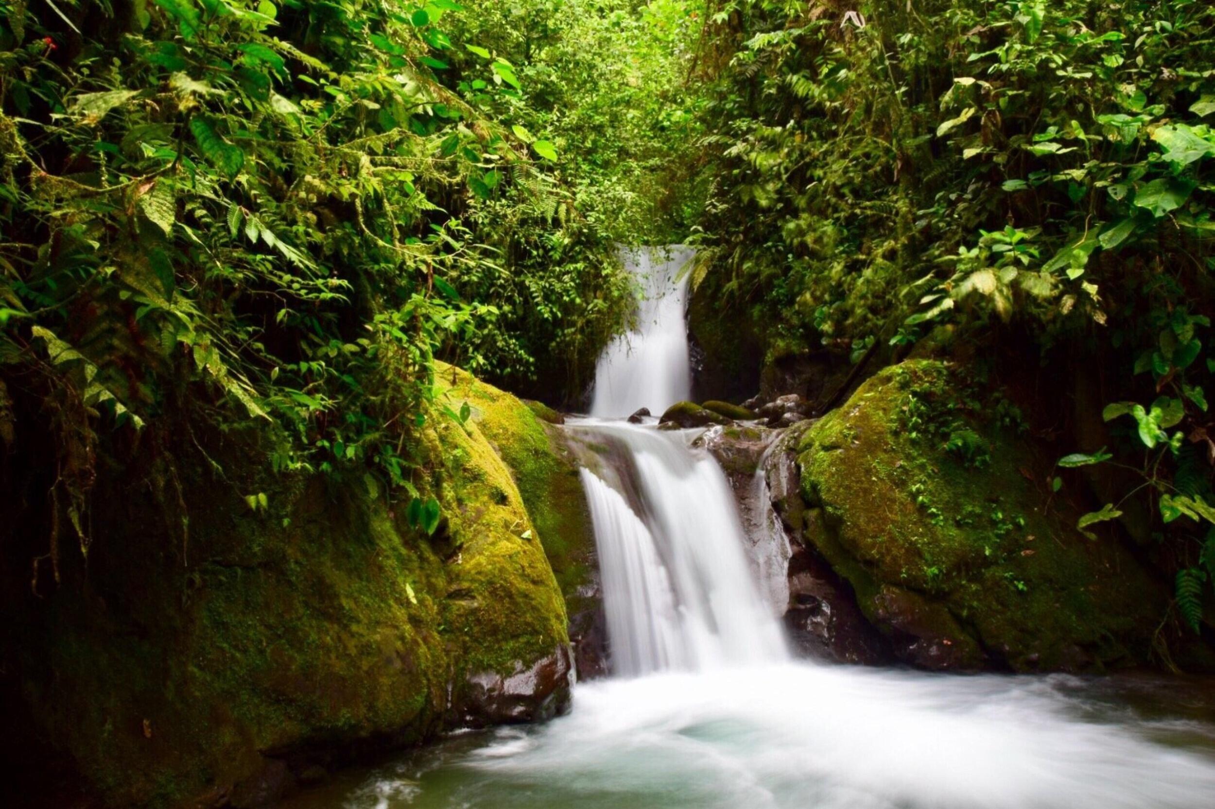Picture of Day Trip to Mindo