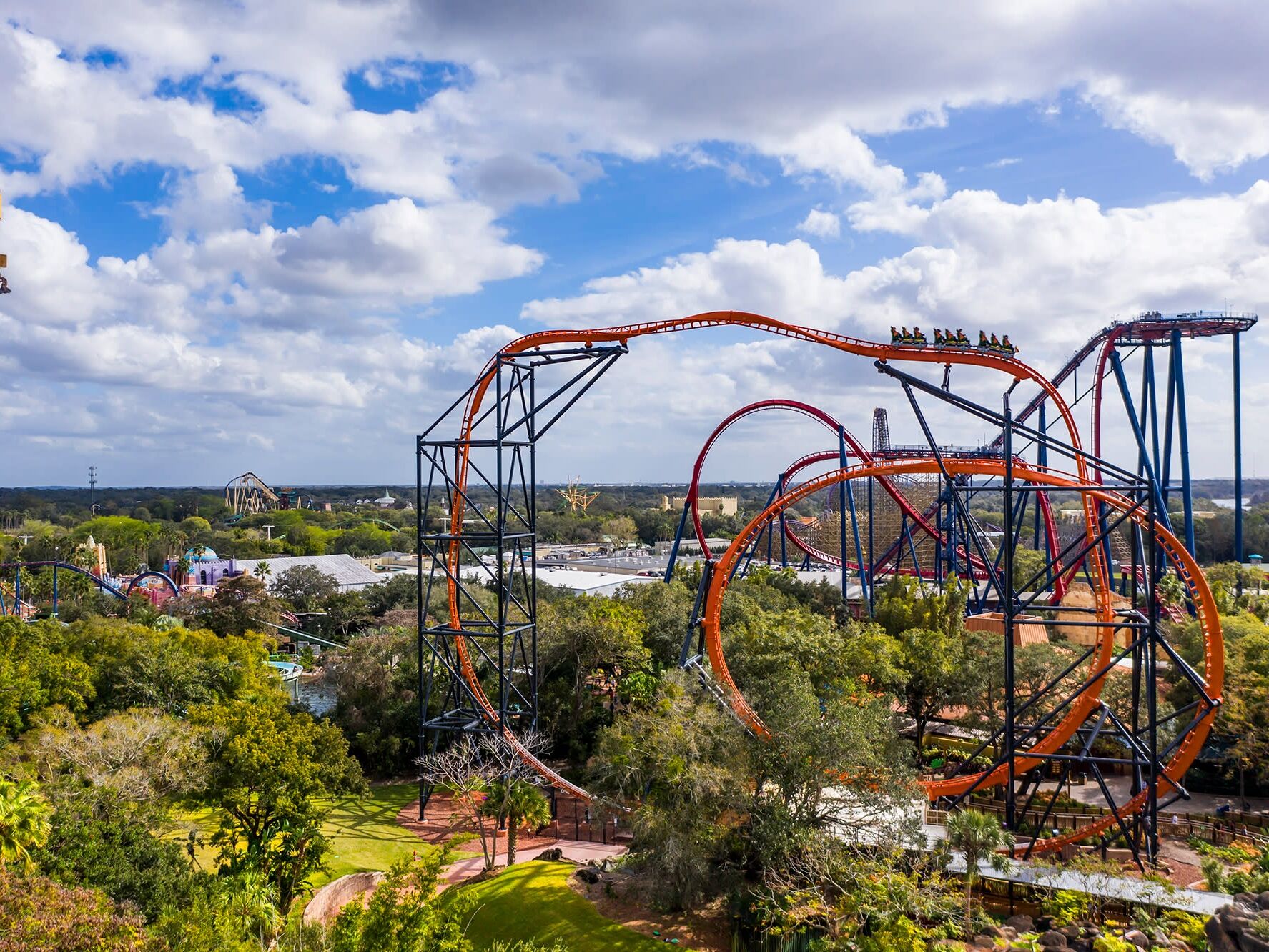 Picture of Busch Gardens Tampa Bay