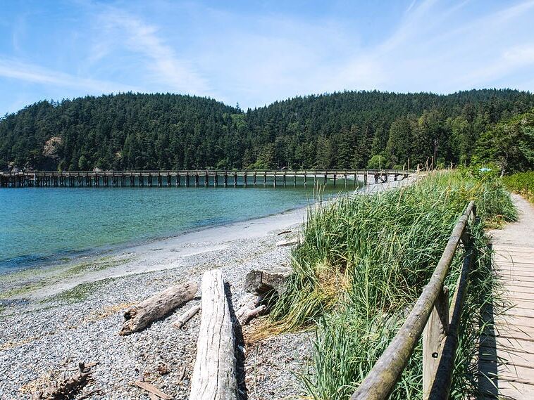 Picture of Bowman Bay