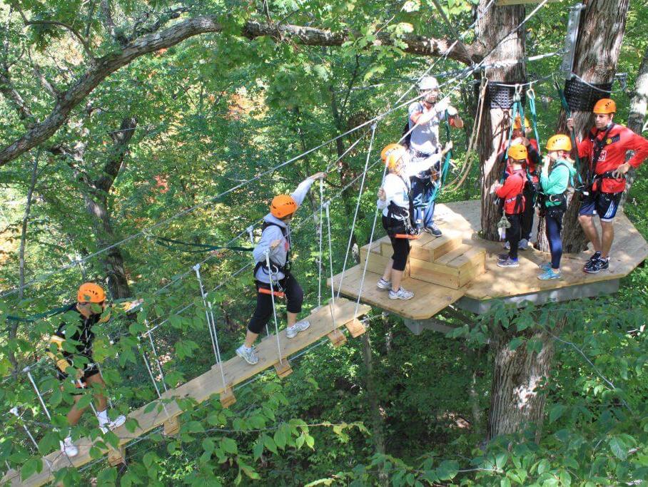 Picture of ZipZone Outdoor Adventures