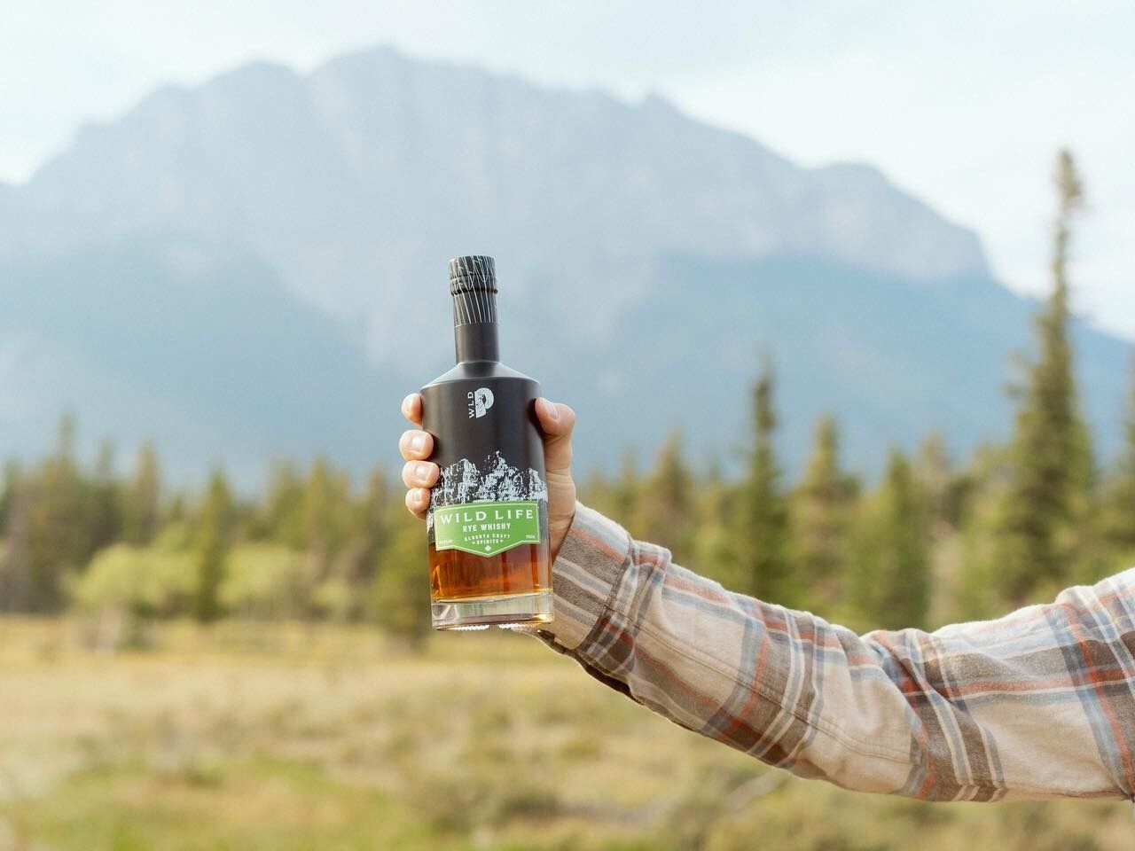 Picture of Wild Life Distillery & Cocktail Bar
