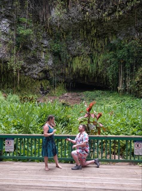 Picture of The Engagement Story 