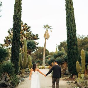 Gallery Photo 39