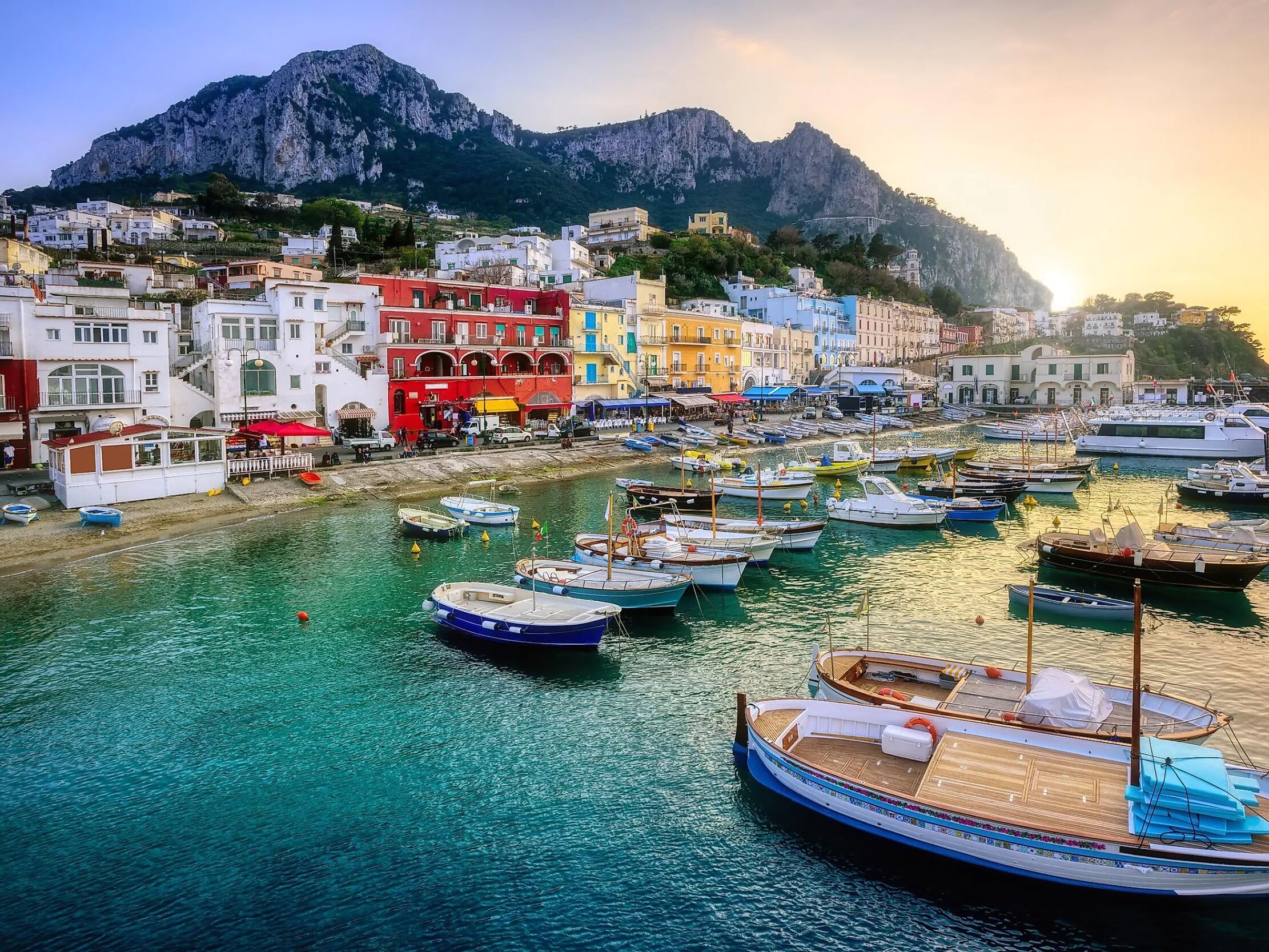 Picture of CAPRI