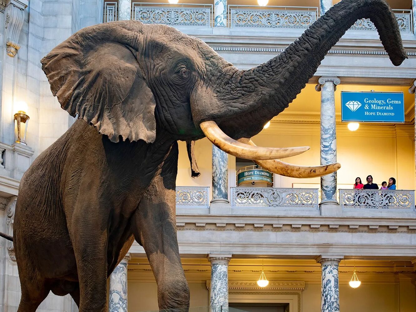 Picture of Smithsonian National Museum of Natural History