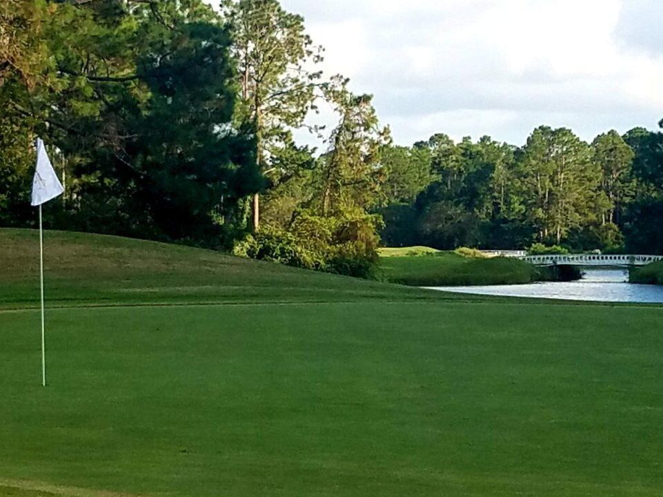 Picture of Magnolia Point Golf and Country Club