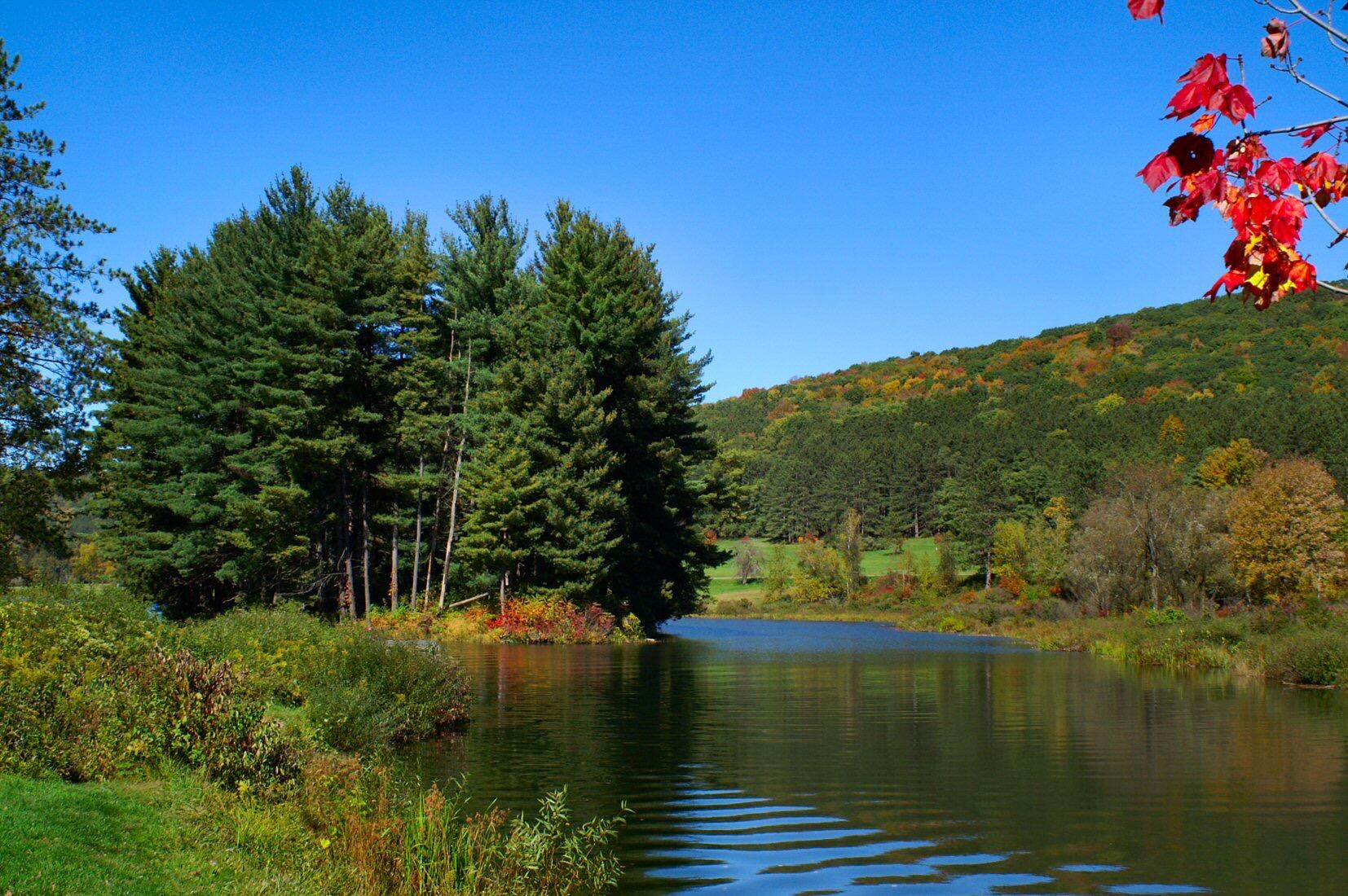 Picture of Allegany State Park
