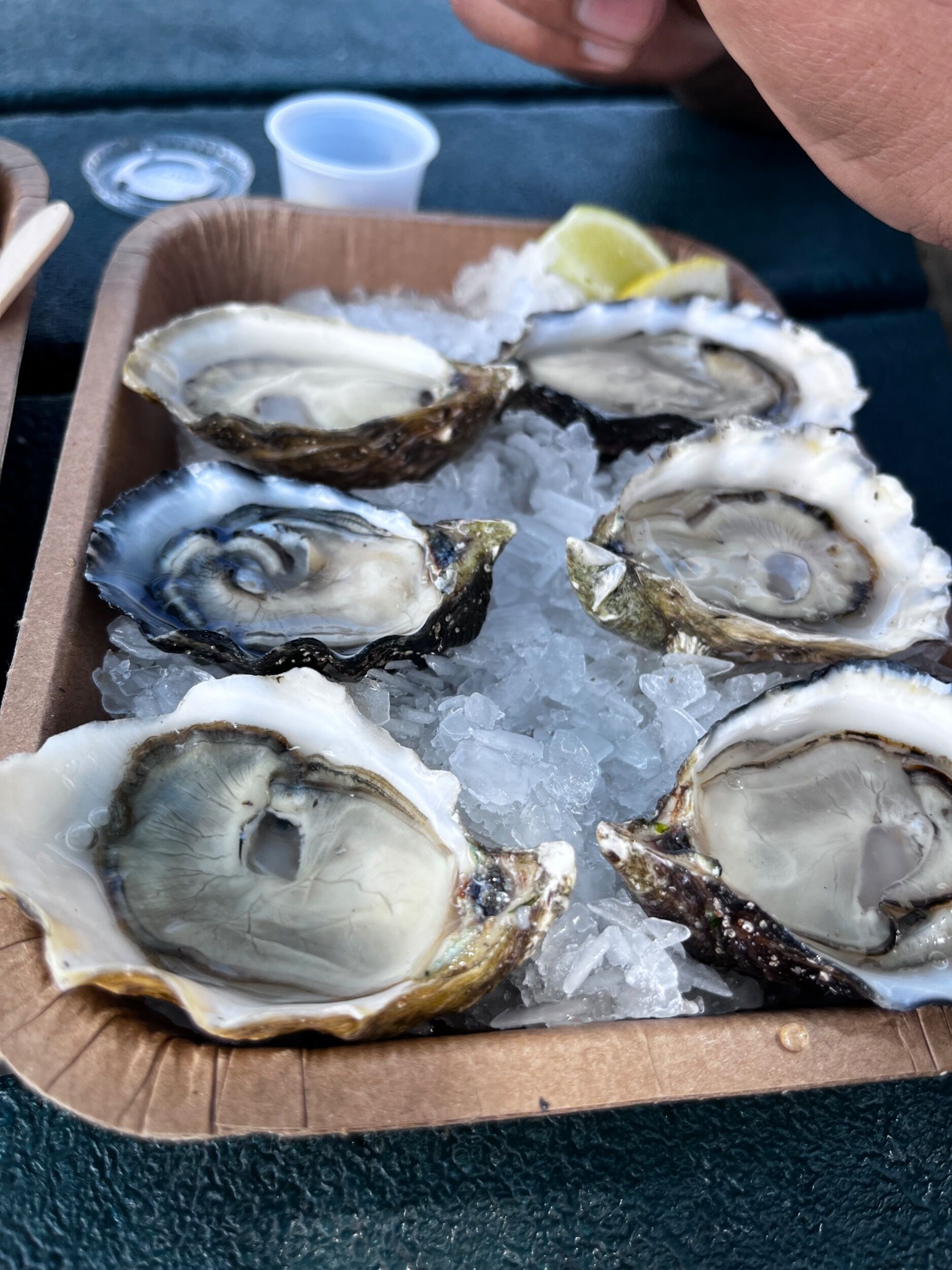 Picture of Grassy Bar Oyster Company