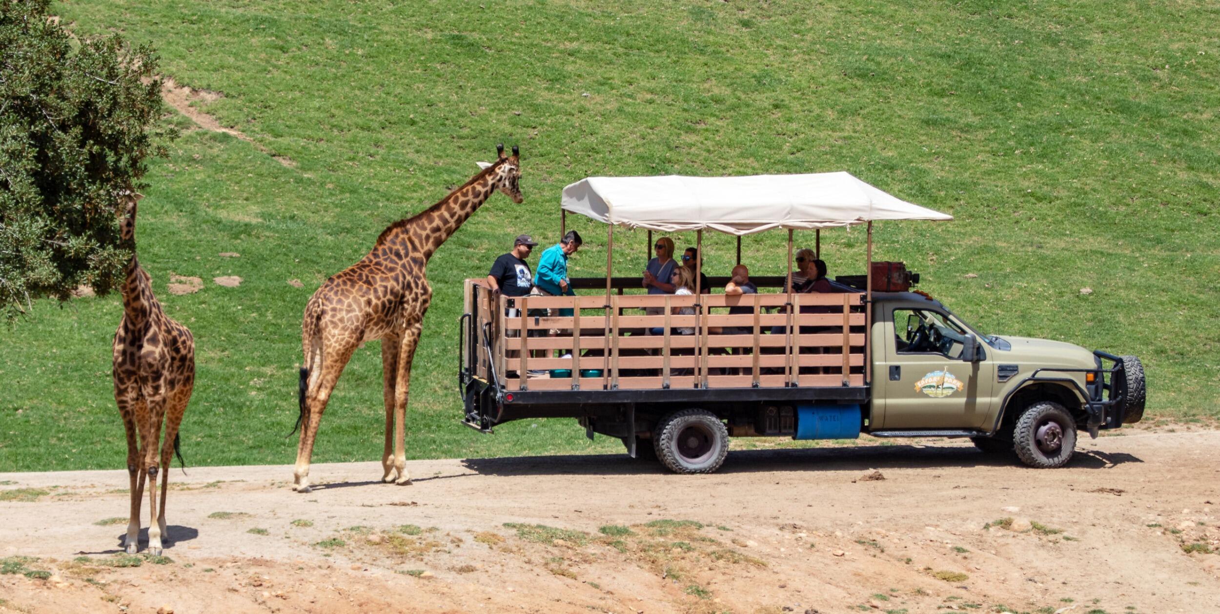 Picture of San Diego Zoo