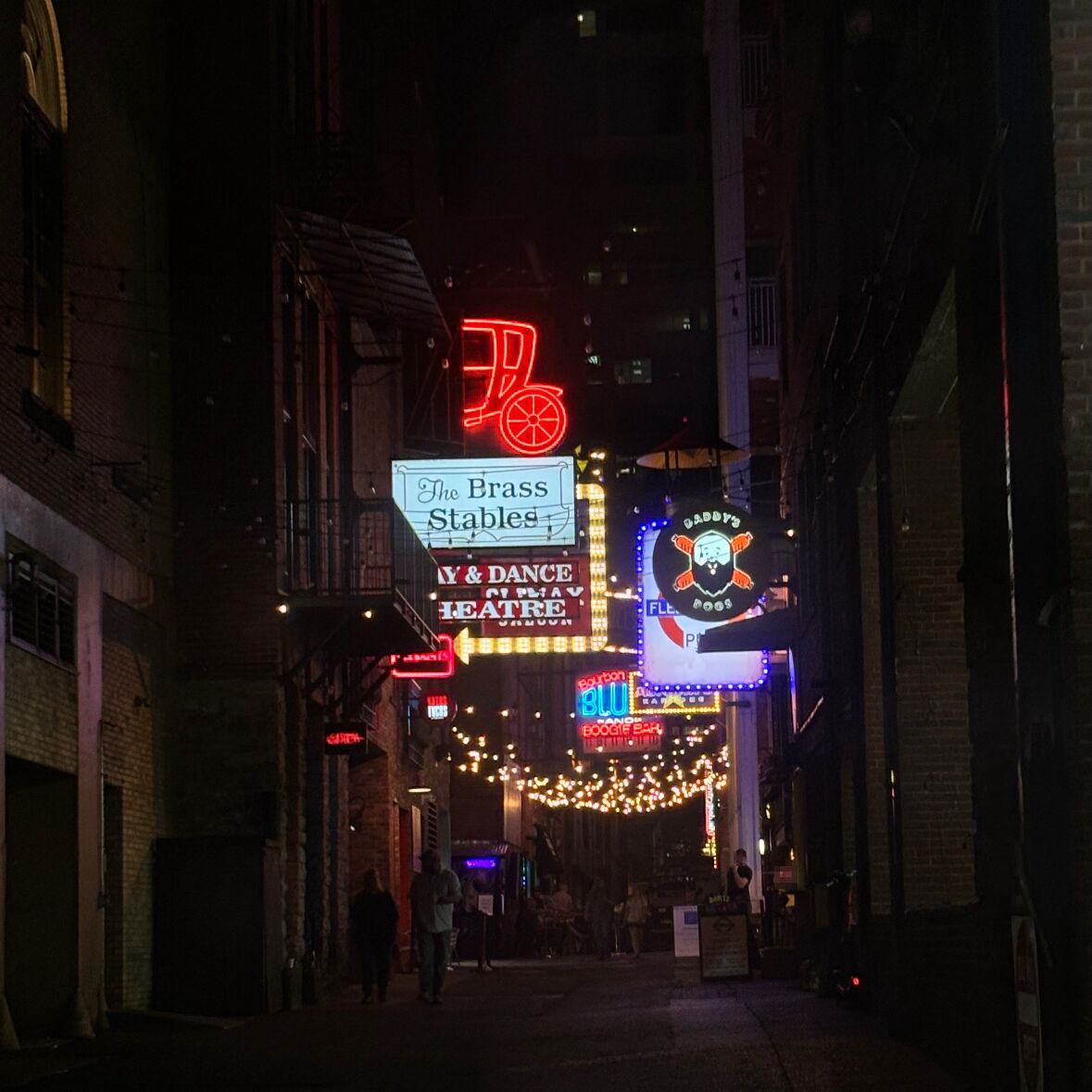 Picture of Printers Alley (our Engagement Spot!)