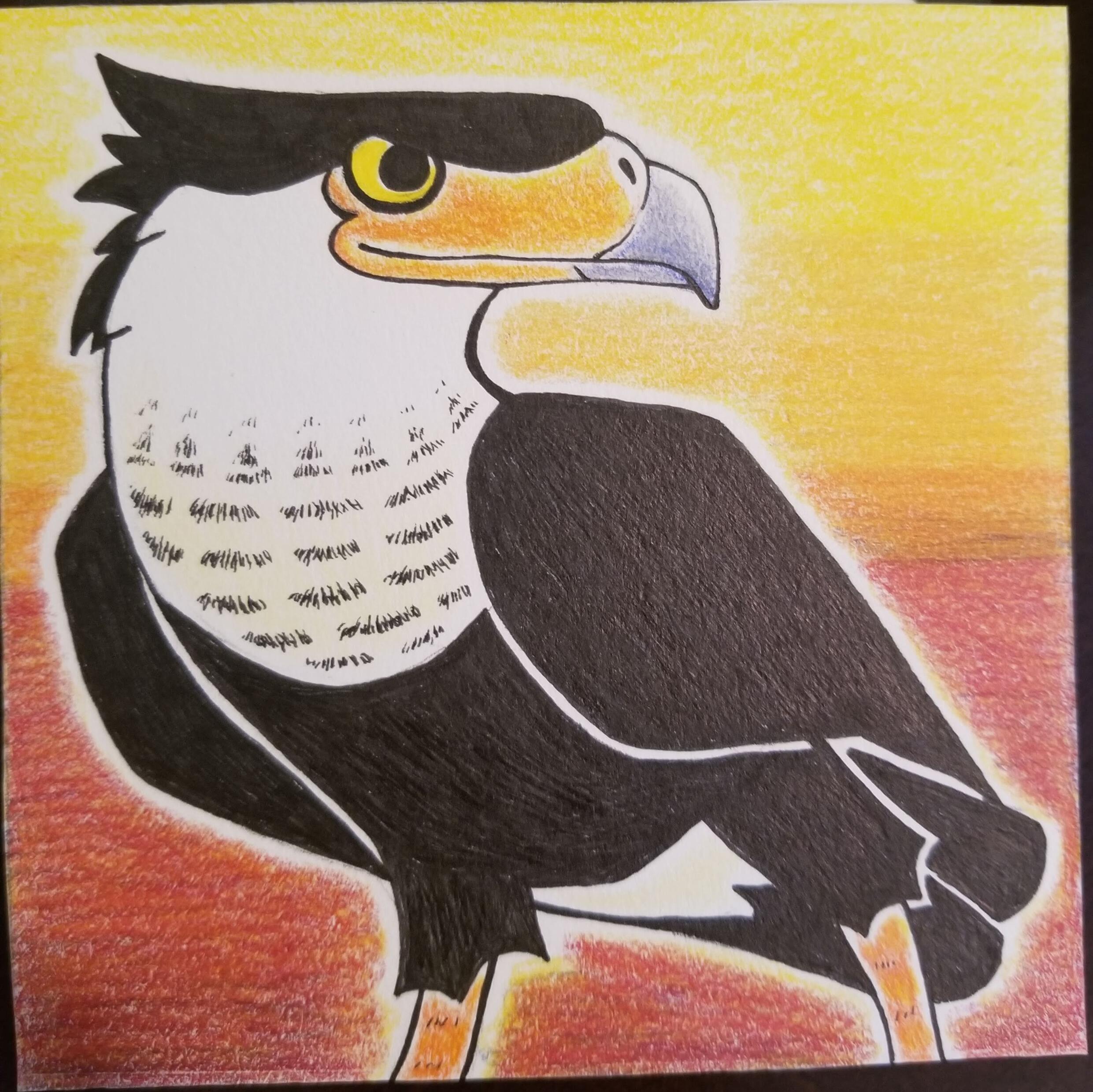 Picture of Hilary Austin (Roo) | Table 18 Crested Caracara