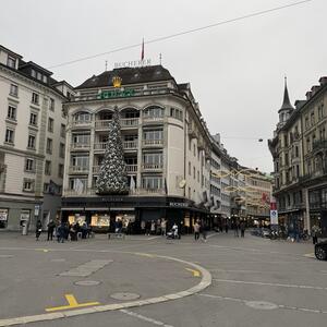 Gallery Photo 16