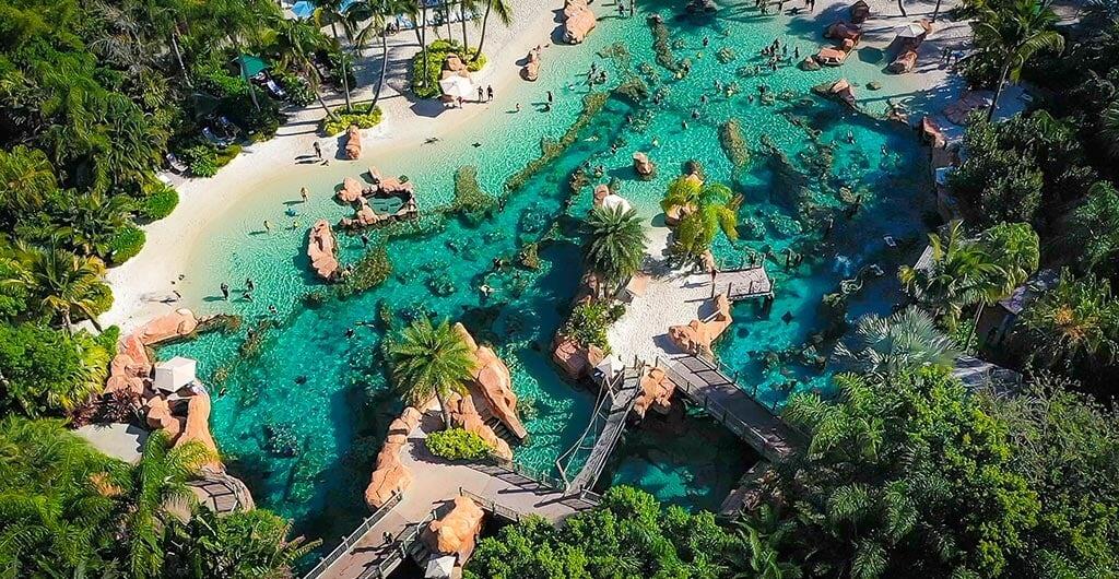 Picture of Discovery Cove