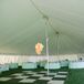 Backyard Reception Tent