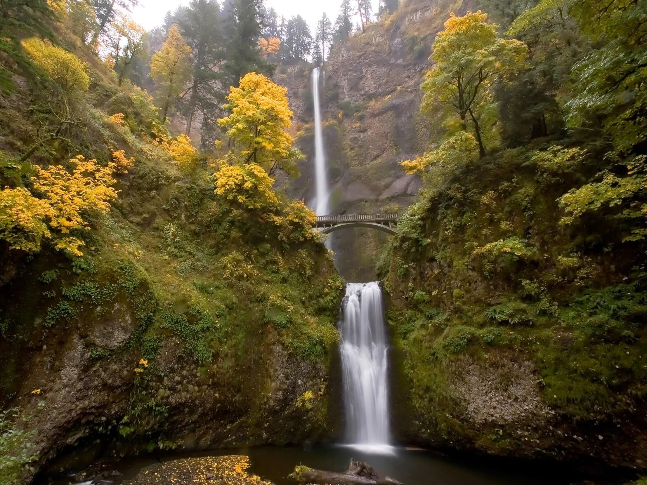 Picture of GO TO THE GORGE