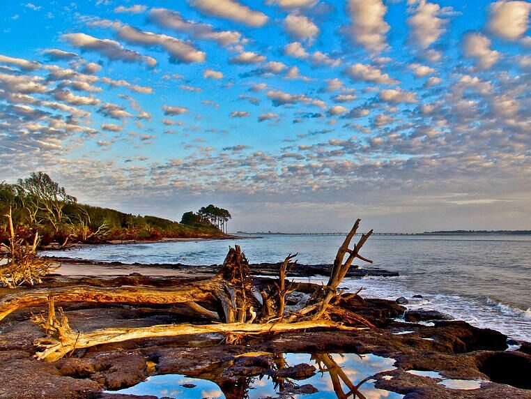 Picture of Little Talbot Island State Park
