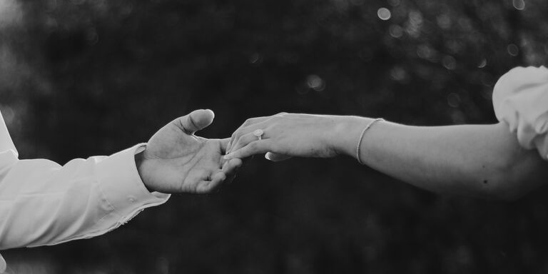 Norkis & Kelsy Home Page Banner