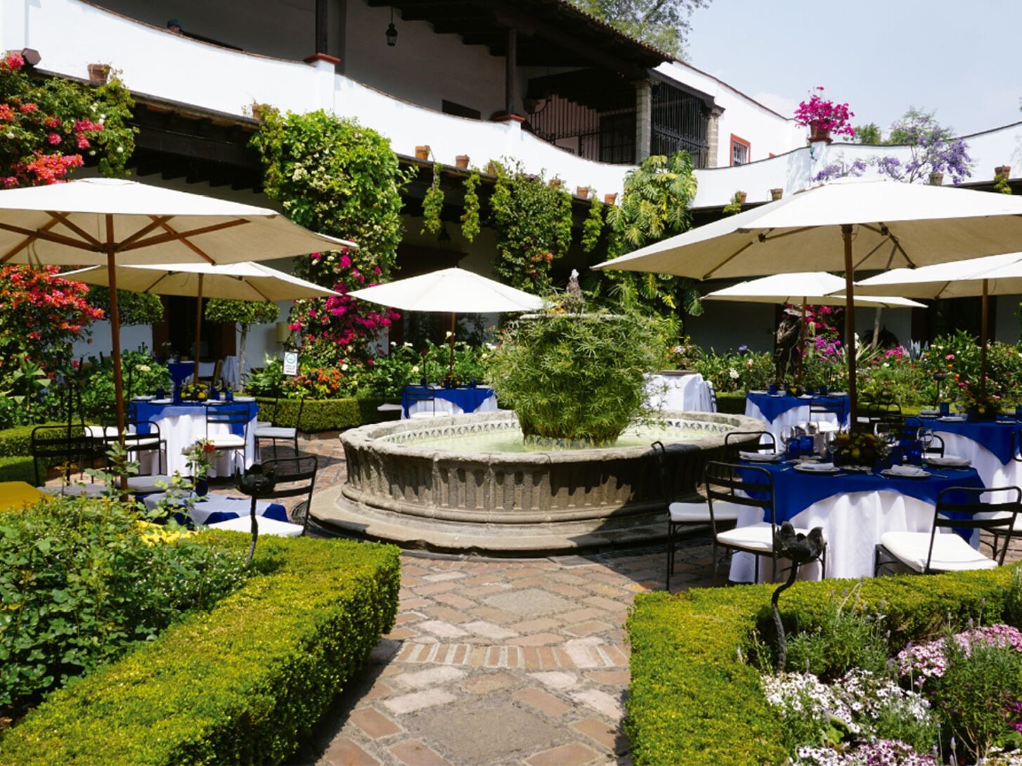 Picture of San Ángel Inn