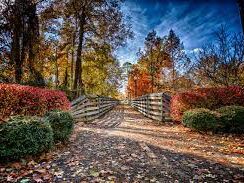 Picture of Riverwalk