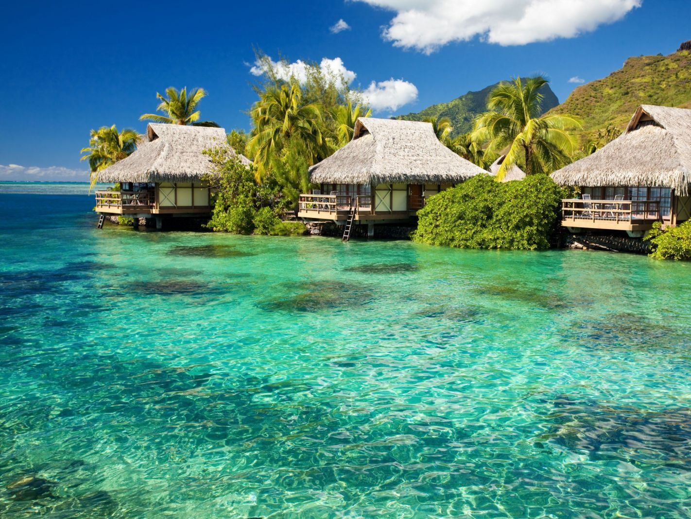 Picture of Vietnam & Thailand Honeymoon
