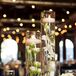 Contemporary White Orchid Submerged Centerpieces