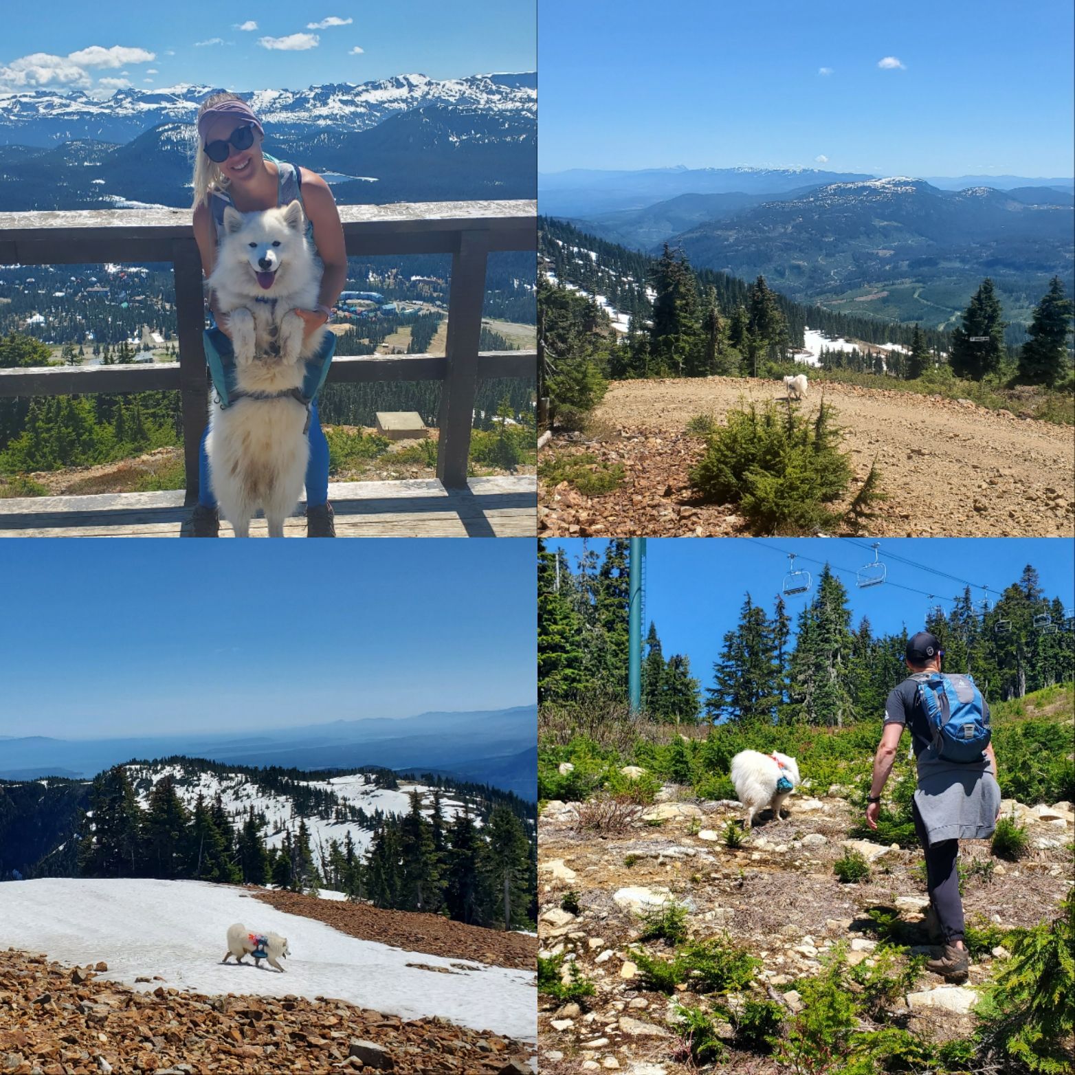 Picture of Giv'er Trail
