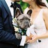 This Couple Decked Out Their Home's Front Yard with Florals for Their Washington, D.C., Minimony