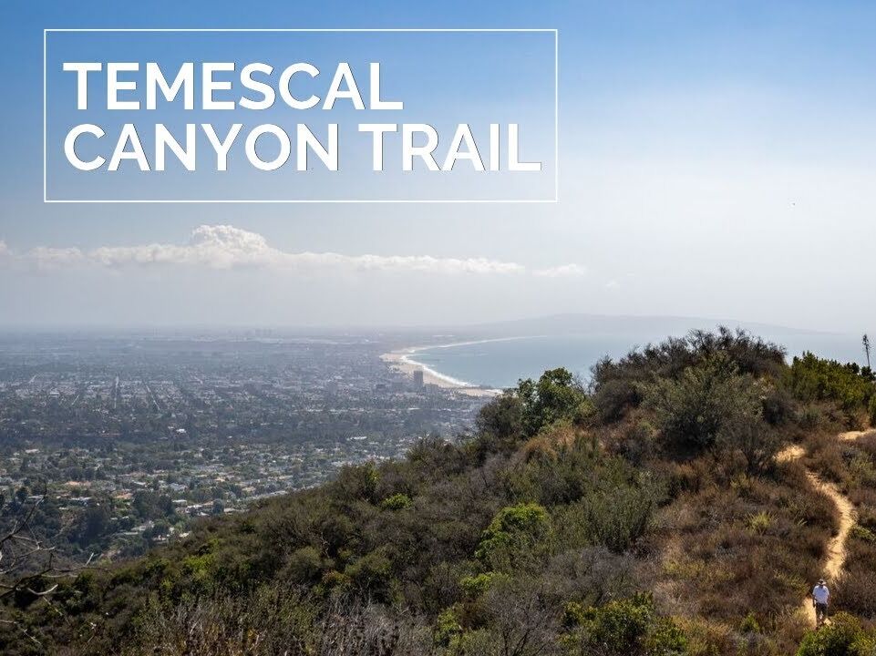 Picture of Temescal Canyon Park