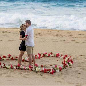 Gallery Photo 41