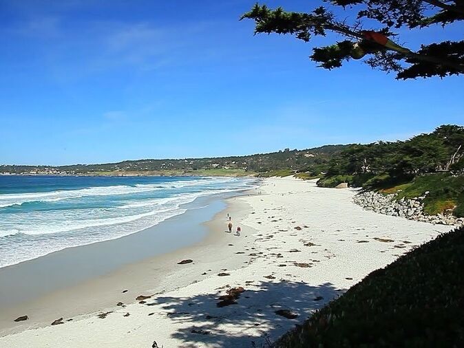 Picture of Carmel Beach