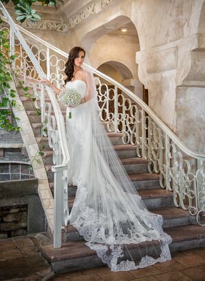 Pronovias Wedding Dress With Lace Cathedral Veil