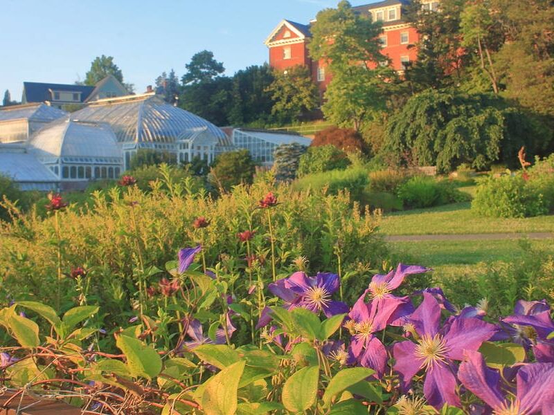 Picture of The Botanic Garden of Smith College