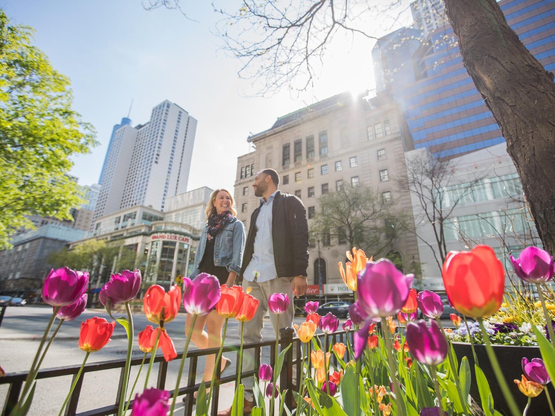 Picture of The Magnificent Mile
