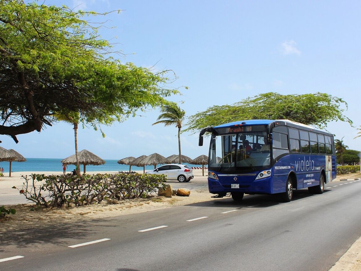 Picture of Arubus
