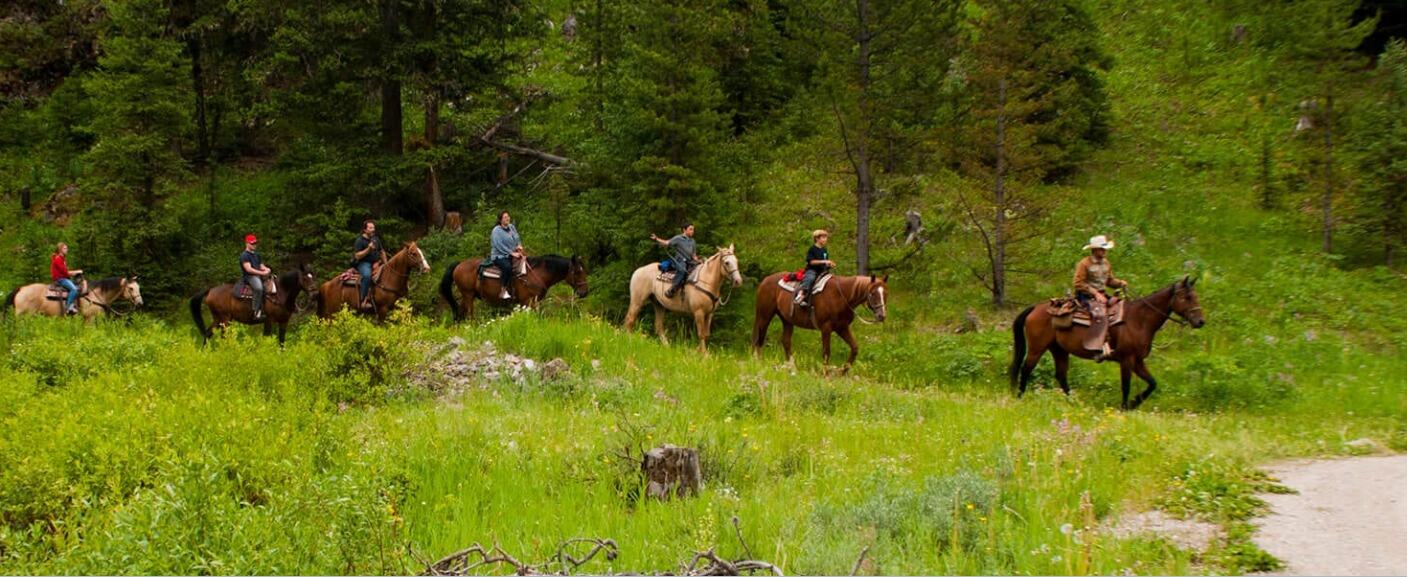 Picture of Horseback Riding