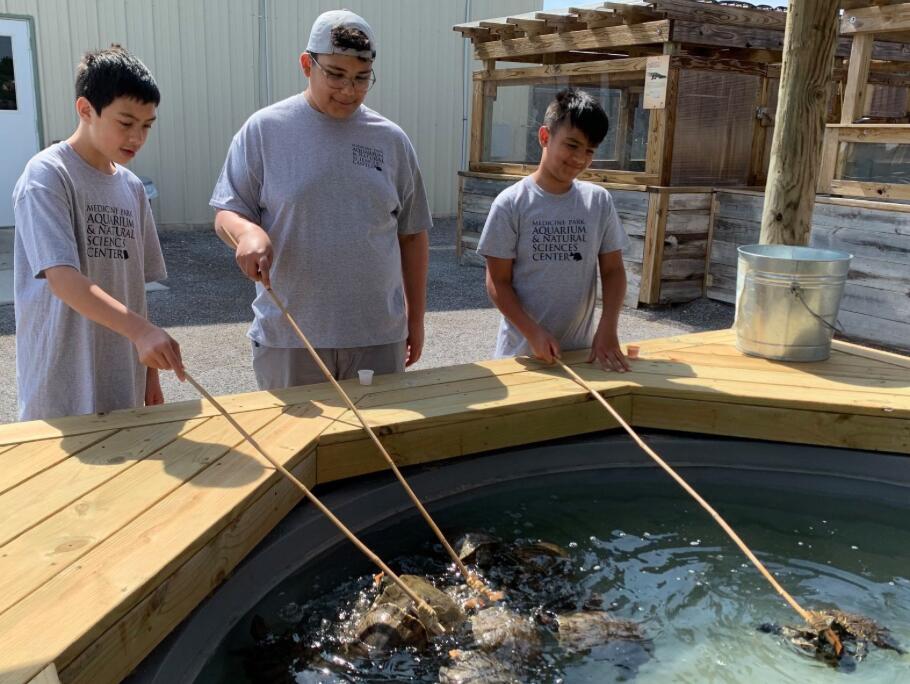 Picture of Medicine Park Aquarium & natural Science Center