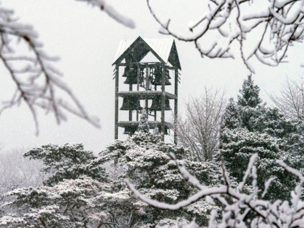 Picture of Chicago Botanic Garden