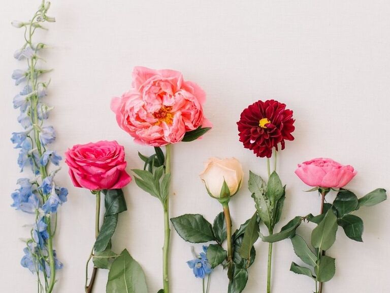 Assortment of fresh flower stems lined up